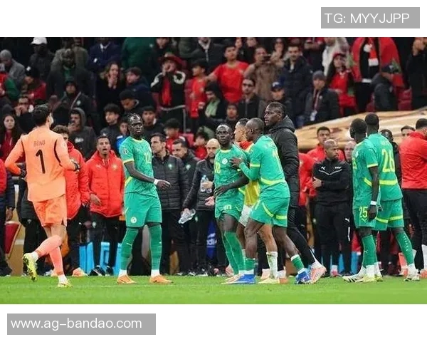 摩洛哥夺非洲杯概率领先塞内加尔赔率分析揭示竞争态势